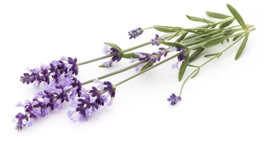 Brand Flowent Mark contains lavender oil